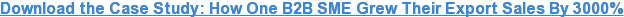 Download the Case Study: How One B2B SME Grew Their Export Sales By 3000%